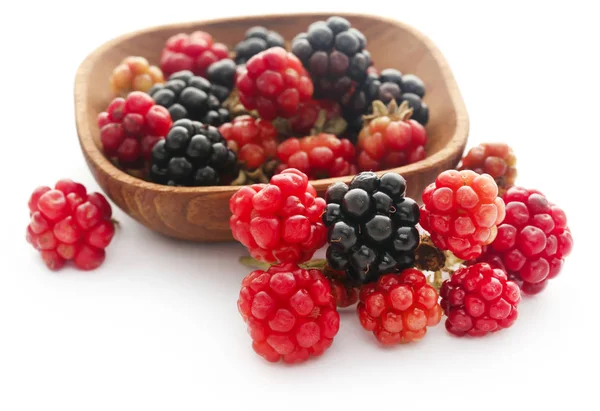 Moras Frescas Sobre Fondo Blanco — Foto de Stock