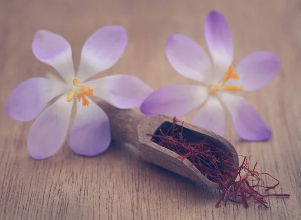 Шафран с цветком крокуса — стоковое фото