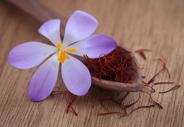 Шафран с цветком крокуса — стоковое фото