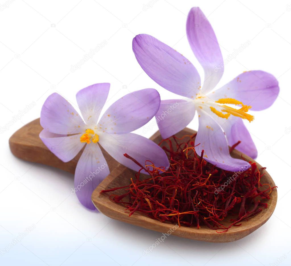 Saffron with crocus flower