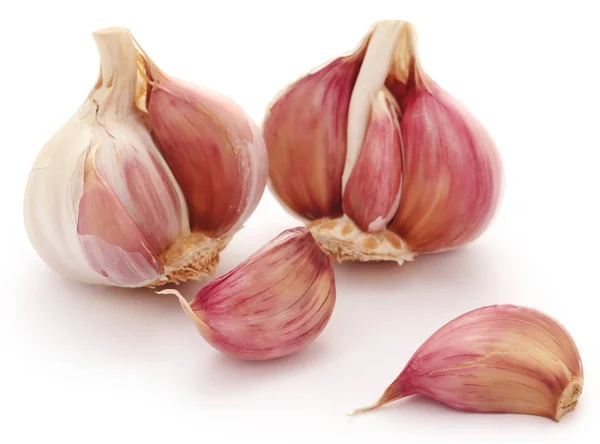 Garlics sur fond blanc — Photo