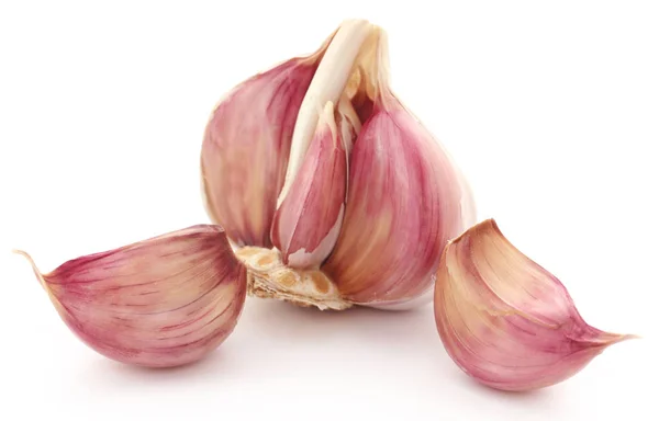 Garlics över vit bakgrund — Stockfoto