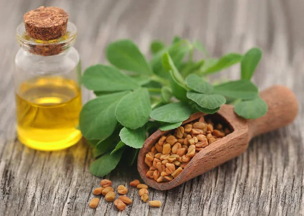 Fenugreek seeds with oil in bottle — Stock Photo, Image