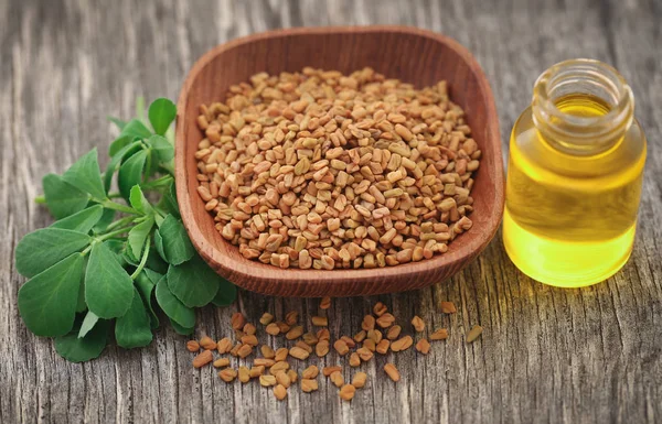 Şişede yağ ile fenugreek tohumları Stok Resim