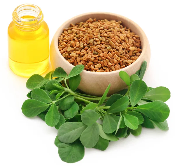 Fenugreek seeds with oil in bottle — Stock Photo, Image