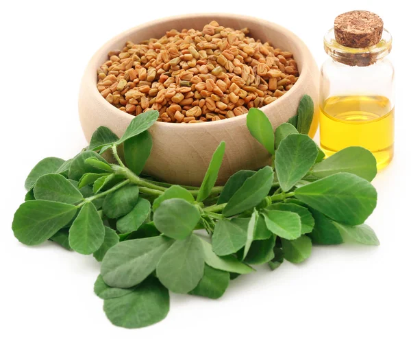 Fenugreek seeds with oil in bottle — Stock Photo, Image