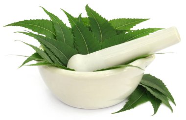 Bir harç tıbbi neem yaprakları