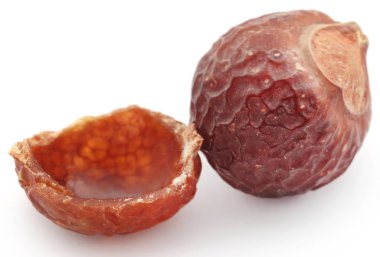 Sapindus mukorossi veya Hint soapberry