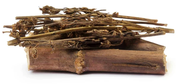 Medicina ayurvedica Chirata — Foto Stock