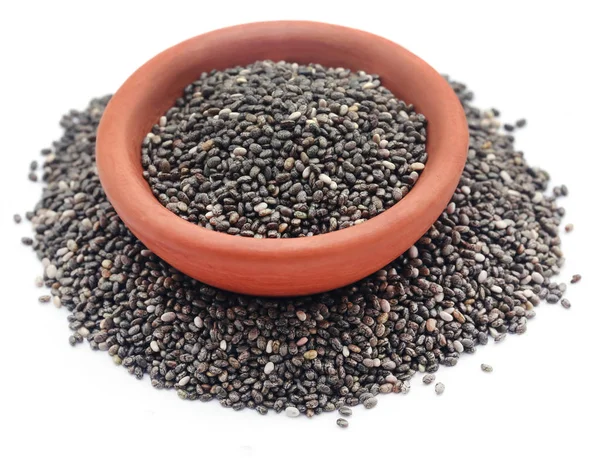 Organic Chia Seed — Zdjęcie stockowe