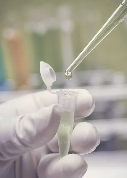 サンプル チューブの化学をドロップ — ストック写真