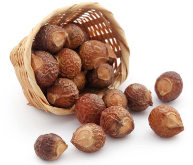 Sapindus mukorossi veya Hint soapberry