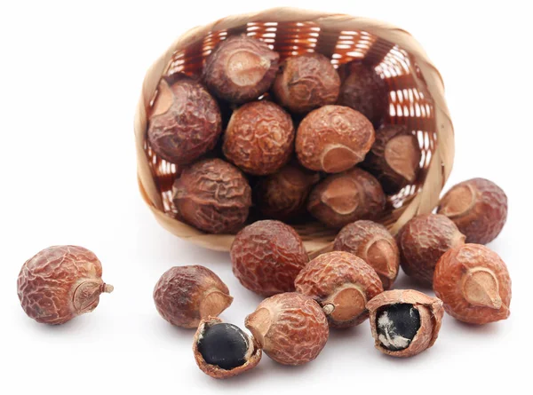 Sapindus mukorossi eller indiska Soapberry — Stockfoto