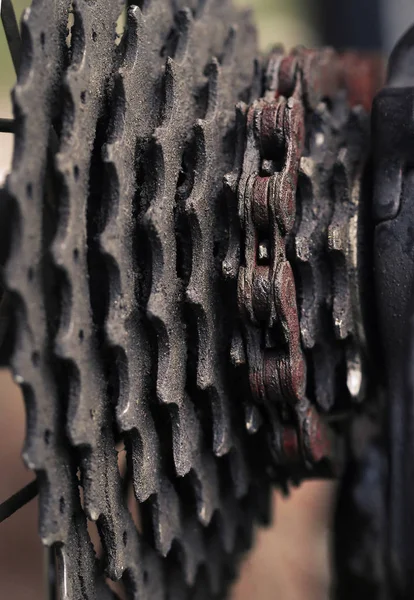 Old bike gear cassette