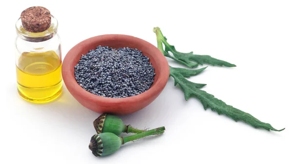Poppy seeds and pods with extract — Stock Photo, Image