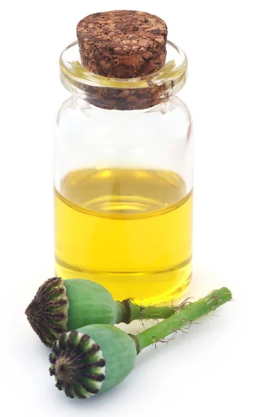 Poppy pods with extract in a bottle — Stock Photo, Image