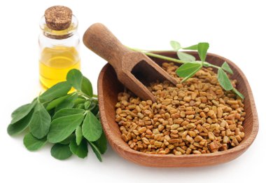 Şişede yağ ile fenugreek tohumları