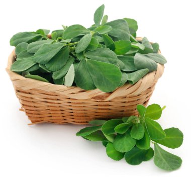 Green leaves of fenugreek clipart