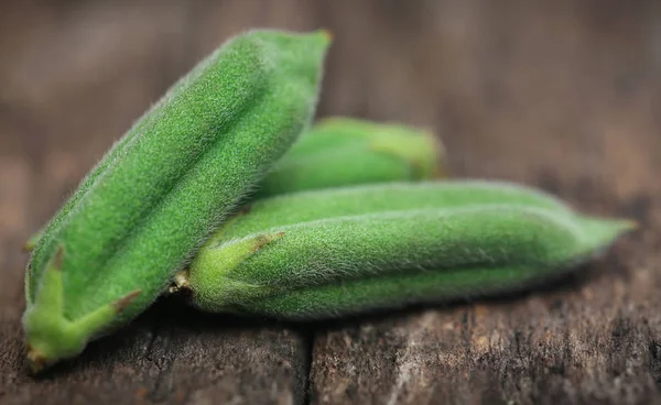 Зелений Сезам стручки — стокове фото