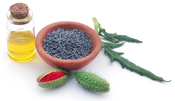 Poppy flower seeds and extract in a bottle — Stock Photo, Image