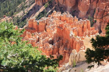 Utah'ın güneybatısındaki Bryce Kanyonu Milli Parkı. Amerika Birleşik Devletleri