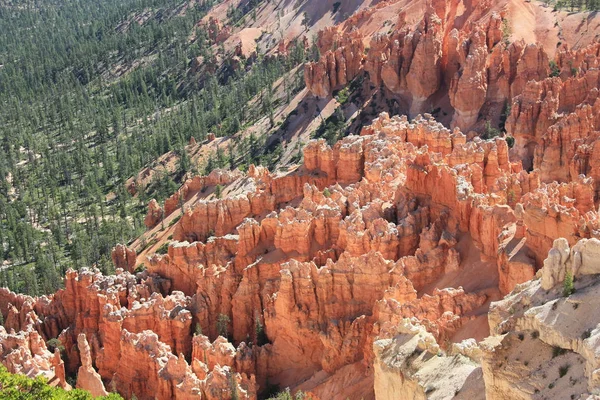 Národní Park Bryce Canyon Jihozápadním Utahu Spojené Státy Americké — Stock fotografie