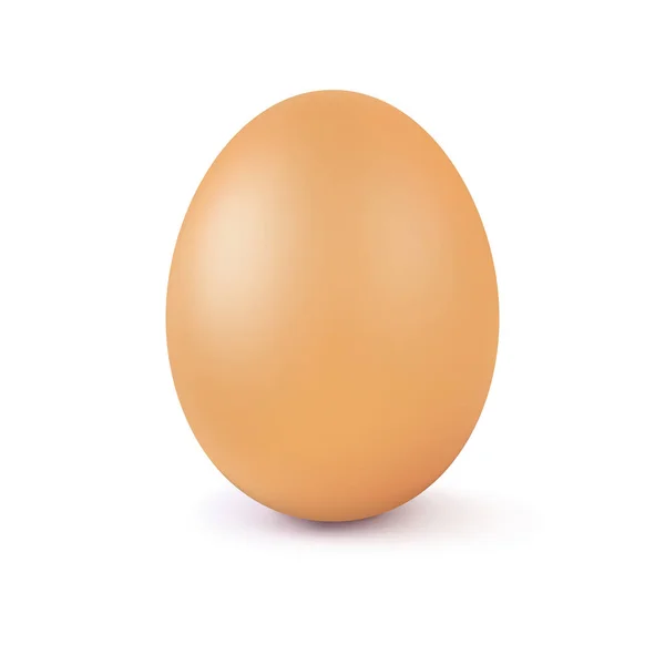 Realistyczne wektor brązowy jajko — Wektor stockowy