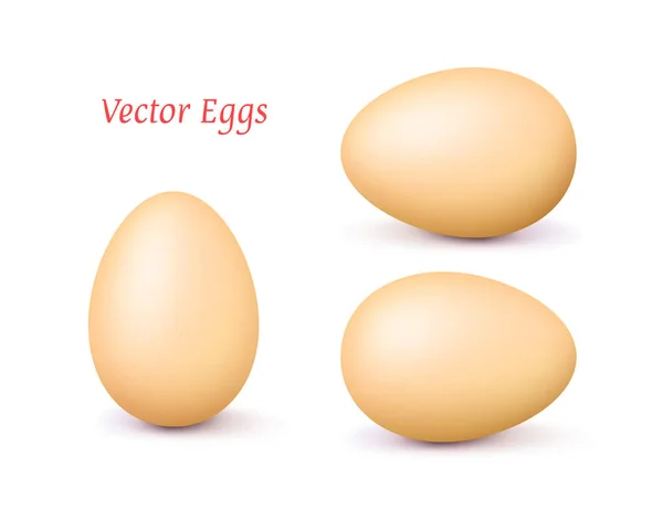 Farklı bir konum ile gerçekçi vektör hafif kahverengi 3d yumurta — Stok Vektör