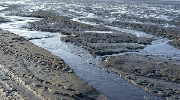 Marea Baja Mar Del Norte —  Fotos de Stock