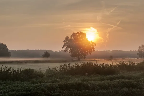 Salida Del Sol Sobre Campo Con Niebla Matutina —  Fotos de Stock