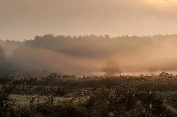 Salida Del Sol Bosque Con Niebla Matutina —  Fotos de Stock