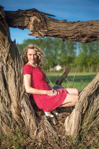 Gülümseyen Genç Kadın Ağaçta Oturuyor — Stok fotoğraf