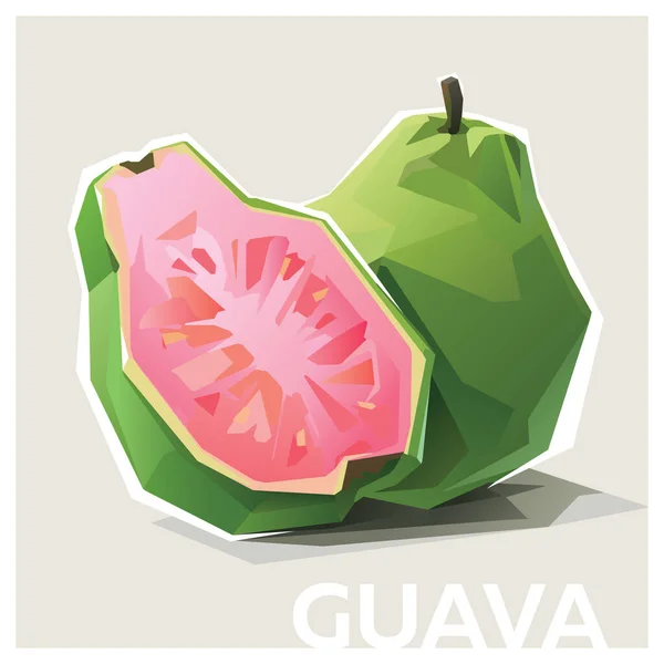 Guava alacsony poli illusztráció — Stock Vector