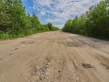 Ormandaki toprak yol