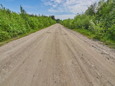 Ormandaki toprak yol