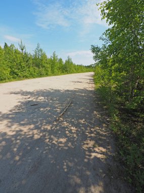 Ormandaki toprak yol