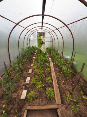 sera sebze yaz aylarında ile