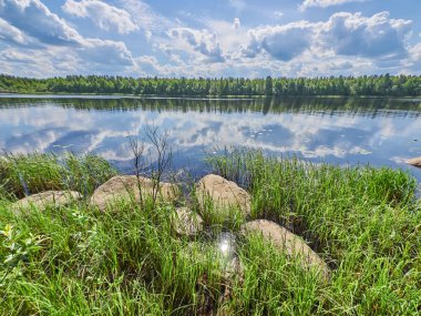 Yaz aylarında nehir. Rusya. Karelya