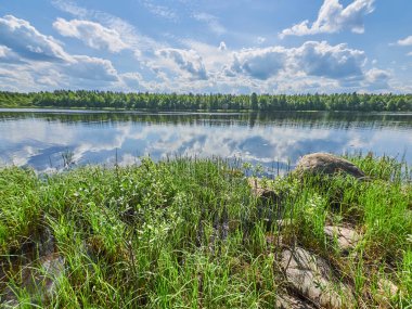 Yaz aylarında nehir. Rusya. Karelya