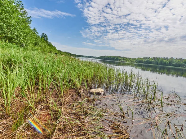 Floden Sommar Ryssland Karelen — Stockfoto