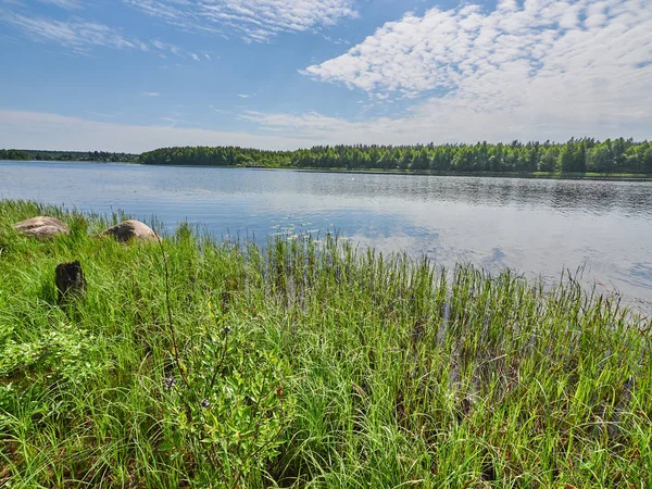 River Summer Russia Karelia — Stock Photo, Image