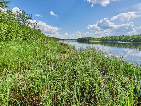 River Summer Russia Karelia — Stock Photo, Image