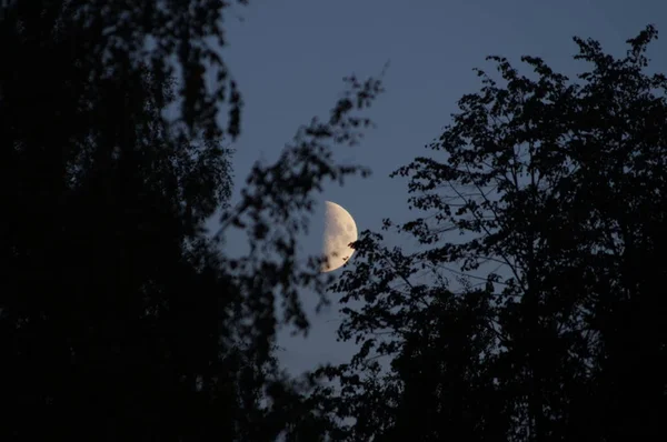 Velký Měsíc Obloze — Stock fotografie