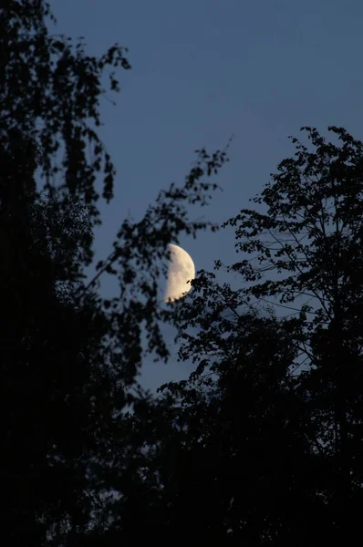 Stora Månen Himlen — Stockfoto