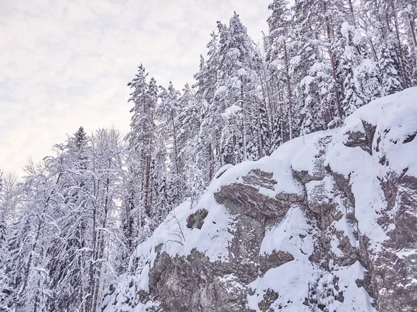 Invierno Taiga — Foto de Stock