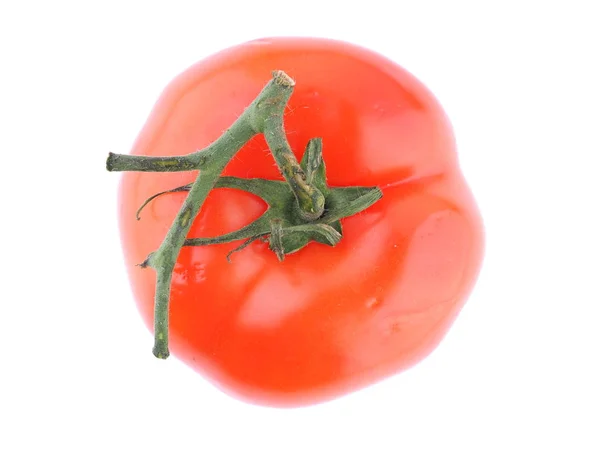 Red Tomato White Background — Stock Photo, Image