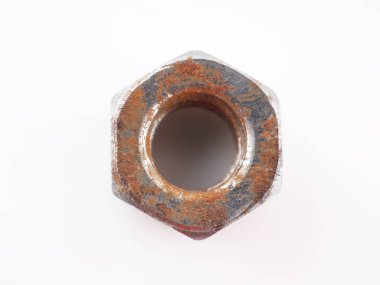 Beyaz arkaplanda fındık