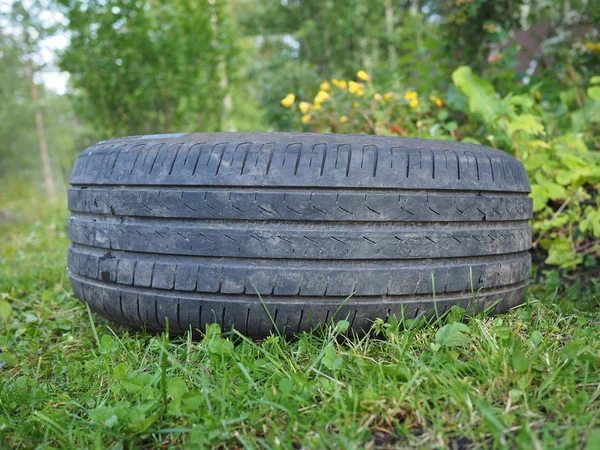 Oude autoband in het gras — Stockfoto