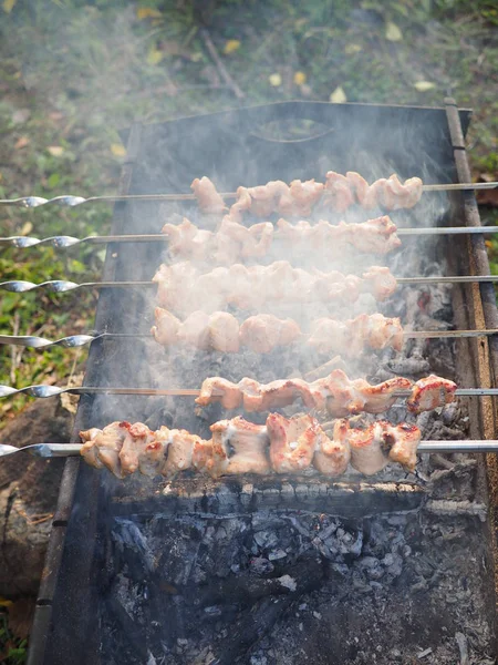 Carne asada cocida en la parrilla — Foto de Stock