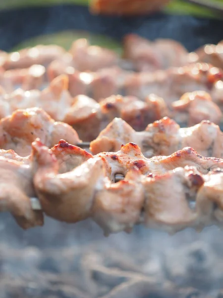 Gegrilltes Fleisch auf dem Grill — Stockfoto